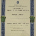 Ingrandire l'immagine: certificate 1