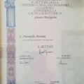 Ingrandire l'immagine: certificate 2
