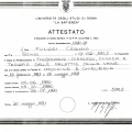 Ingrandire l'immagine: certificate 9