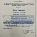 Ingrandire l'immagine: certificate 5