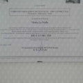 Ingrandire l'immagine: certificate 1