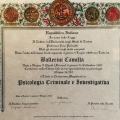 Ingrandire l'immagine: certificate 3