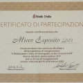 Ingrandire l'immagine: certificate 8