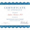 Ingrandire l'immagine: certificate 3