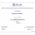 Ingrandire l'immagine: certificate 3