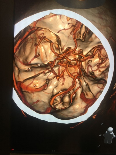 Francesco Alberto Vizzari-8