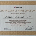 Ingrandire l'immagine: certificate 12