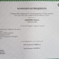 Ingrandire l'immagine: certificate 1