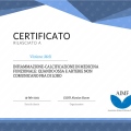 Ingrandire l'immagine: certificate 36