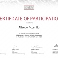 Ingrandire l'immagine: certificate 1