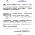 Ingrandire l'immagine: certificate 6