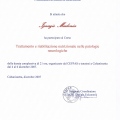 Ingrandire l'immagine: certificate 23