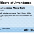 Ingrandire l'immagine: certificate 9