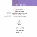 Ingrandire l'immagine: certificate 9