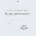 Ingrandire l'immagine: certificate 1