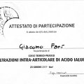 Ingrandire l'immagine: certificate 1