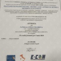 Ingrandire l'immagine: certificate 3