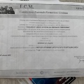 Ingrandire l'immagine: certificate 13