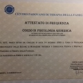 Ingrandire l'immagine: certificate 2