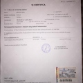 Ingrandire l'immagine: certificate 1