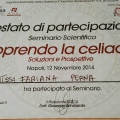 Ingrandire l'immagine: certificate 11