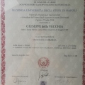 Ingrandire l'immagine: certificate 1