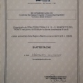 Ingrandire l'immagine: certificate 28