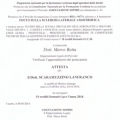 Ingrandire l'immagine: certificate 9