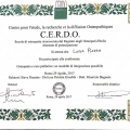 Ingrandire l'immagine: certificate 4
