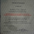 Ingrandire l'immagine: certificate 4
