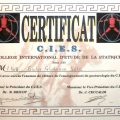 Ingrandire l'immagine: certificate 1