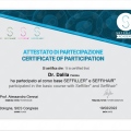 Ingrandire l'immagine: certificate 8