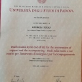 Ingrandire l'immagine: certificate 2