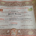 Ingrandire l'immagine: certificate 1