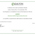 Ingrandire l'immagine: certificate 2