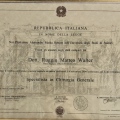 Ingrandire l'immagine: certificate 1