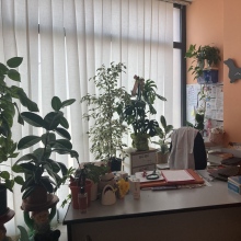 Ingrandire l'immagine: Emanuela Angelini, pediatra Bergamo