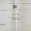 Ingrandire l'immagine: certificate 28