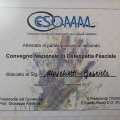 Ingrandire l'immagine: certificate 5