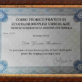 Ingrandire l'immagine: certificate 15