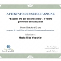 Ingrandire l'immagine: certificate 3