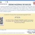 Ingrandire l'immagine: certificate 4