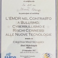 Ingrandire l'immagine: certificate 8