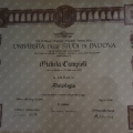 Ingrandire l'immagine: certificate 1