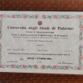 Ingrandire l'immagine: certificate 2