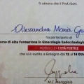 Ingrandire l'immagine: certificate 2