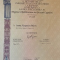 Ingrandire l'immagine: certificate 4