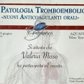Ingrandire l'immagine: certificate 7
