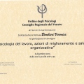 Ingrandire l'immagine: certificate 9