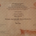 Ingrandire l'immagine: certificate 6